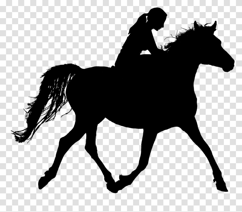 Horse Riding Silhouette Ride Stallion Woman Rider Girl Riding Horse Silhouette, Nature, Outdoors, Astronomy, Outer Space Transparent Png