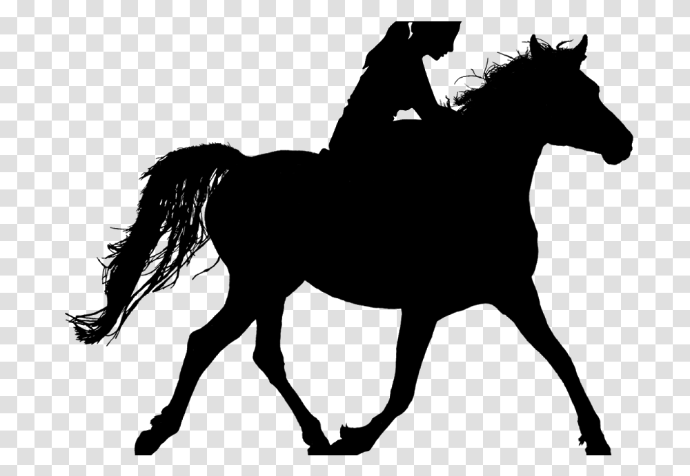 Horse Riding Silhouette Ride Stallion Woman Rider Girl Riding Horse Silhouette, Nature, Outdoors, Night, Astronomy Transparent Png