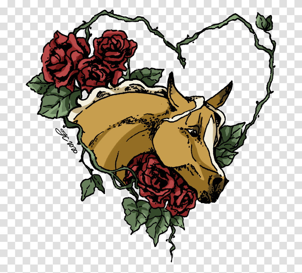 Horse Roses Illustration, Plant, Flower, Blossom Transparent Png