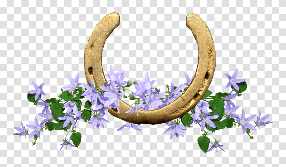 Horse Shoe 960, Flower, Plant, Horseshoe, Blossom Transparent Png