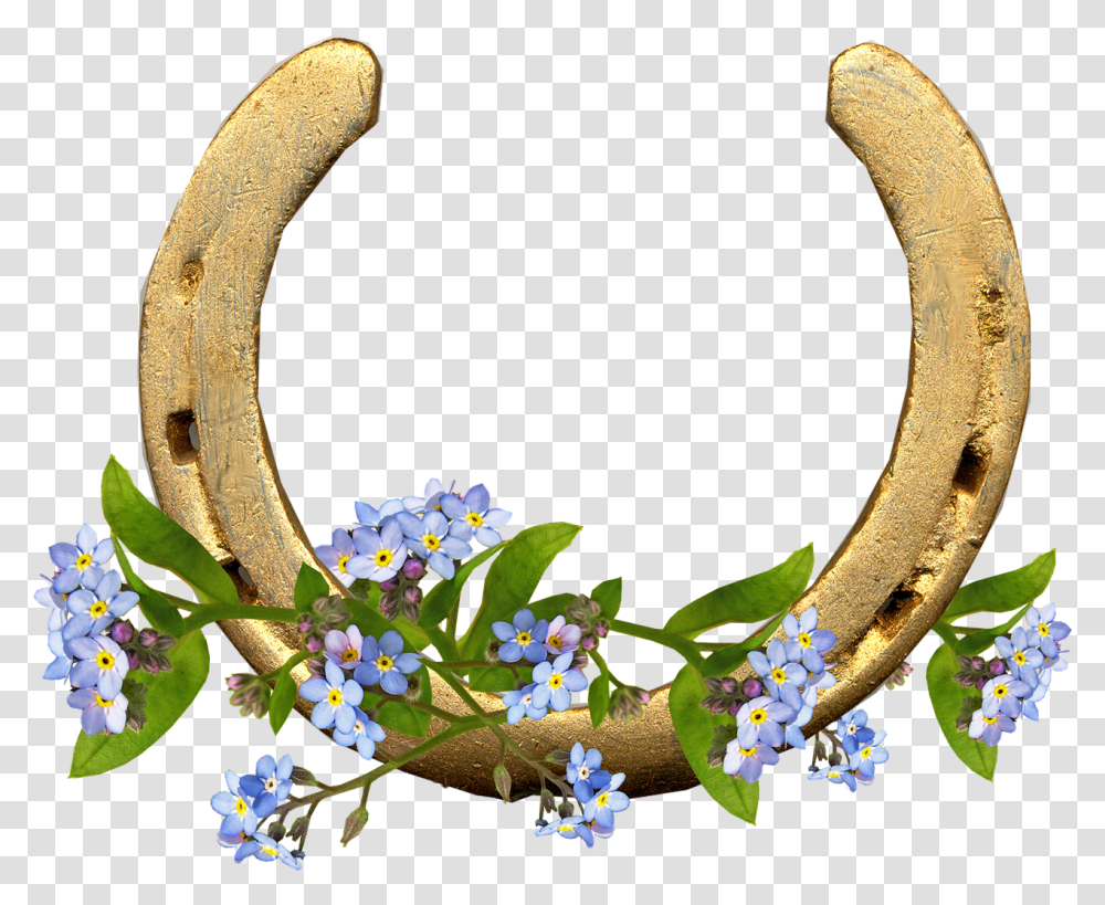Horse Shoe Forget Me Not Flowers Horseshoe With Flowers, Plant Transparent Png