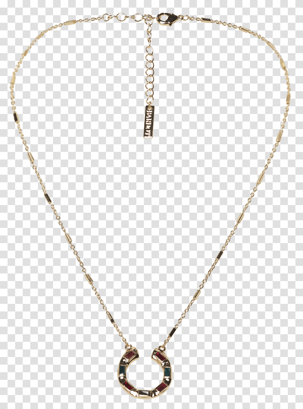 Horse Shoe Necklace In Colour Gold Earth, Jewelry, Accessories, Accessory, Pendant Transparent Png