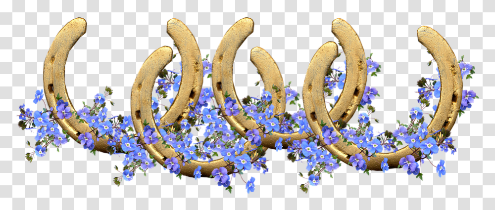 Horse Shoes Lucky Blue Flowers Decoration Symbol Horseshoe, Plant, Outer Space, Astronomy, Universe Transparent Png