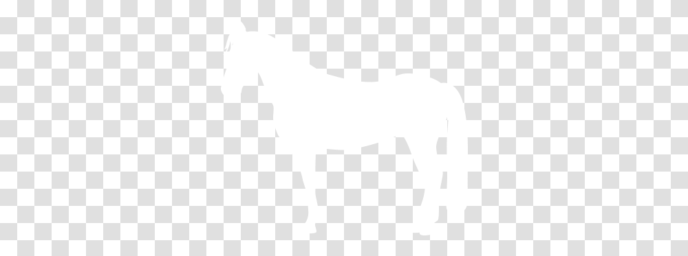 Horse Shows Jackson Hole Therapeutic Riding Animal Figure, Mammal, Colt Horse, Foal, T-Shirt Transparent Png