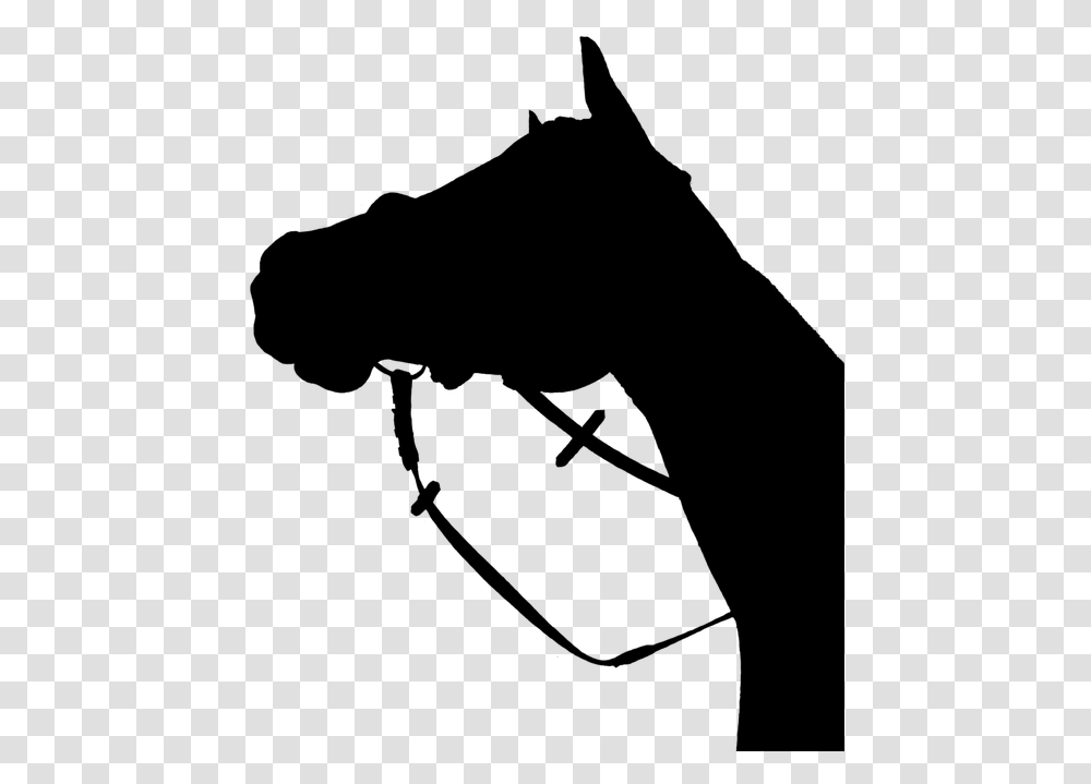Horse Silhouette Black Horse Head Silhouette, Gray, World Of Warcraft Transparent Png