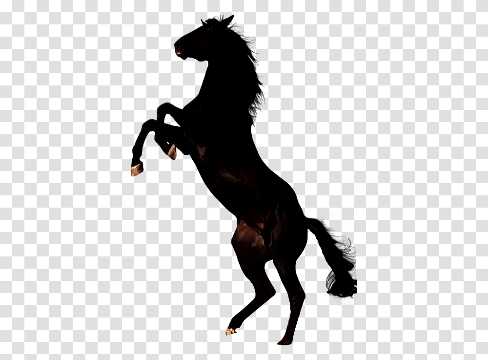 Horse Silhouette Clip Art Gallery, Lighting, Person, Flare, Hand Transparent Png