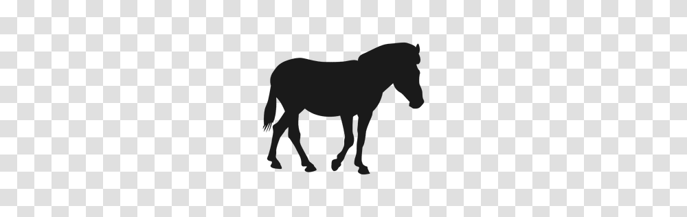 Horse Silhouette Clipart Free Clipart, Mammal, Animal, Foal, Donkey Transparent Png