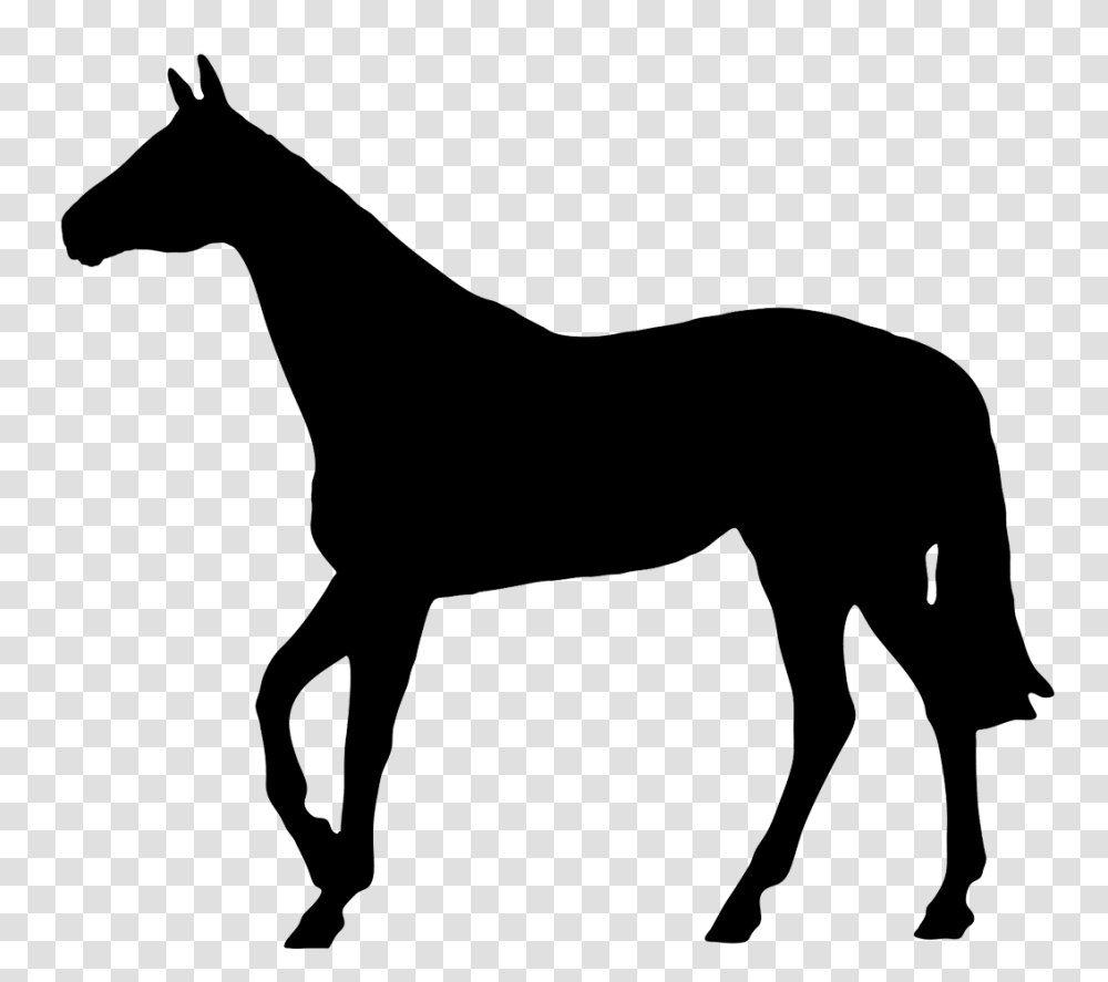 Horse Silhouette, Colt Horse, Mammal, Animal, Foal Transparent Png