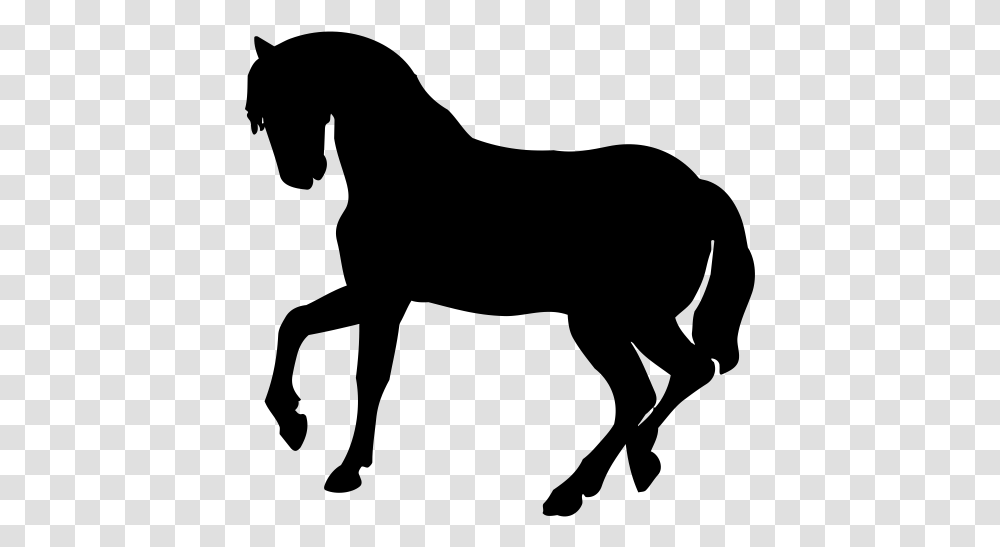 Horse Silhouette Dog Baby Jungle Animals Cat, Gray, World Of Warcraft Transparent Png