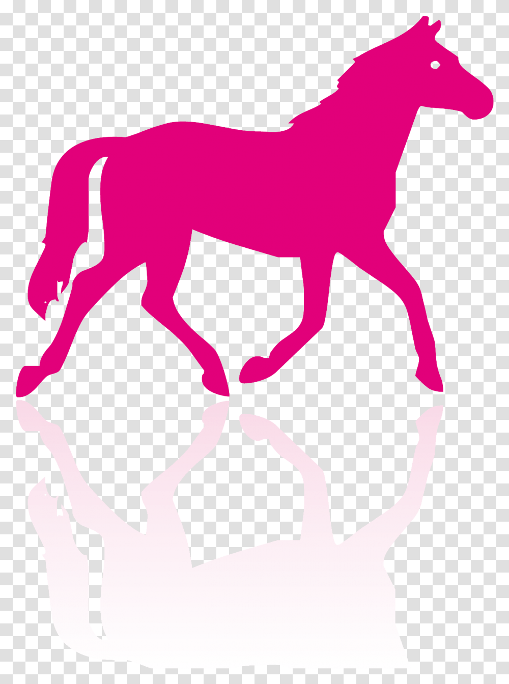 Horse Silhouette Download Anti Horse Racing, Person, Human, Mammal, Animal Transparent Png