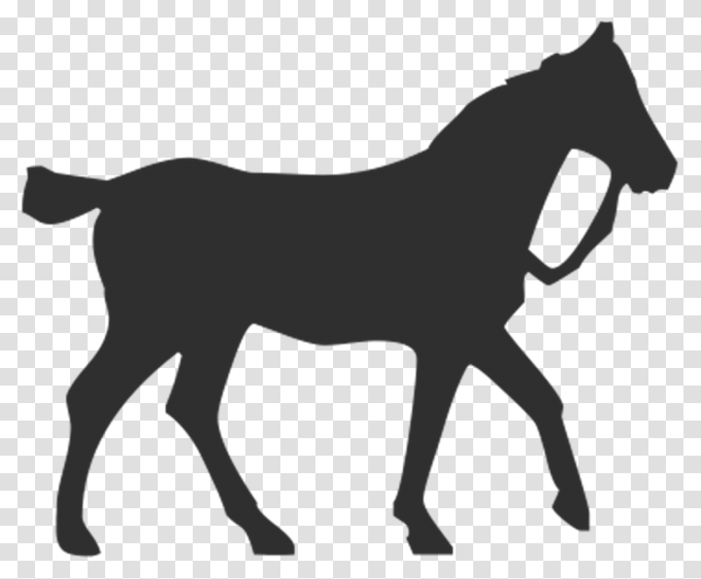 Horse Silhouette Equestrian Pet Horse, Foal, Mammal, Animal, Colt Horse Transparent Png