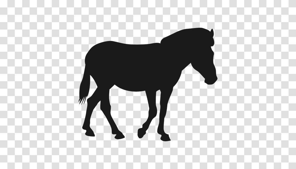 Horse Silhouette, Foal, Mammal, Animal, Colt Horse Transparent Png