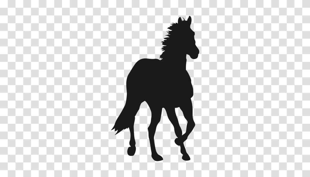 Horse Silhouette, Foal, Mammal, Animal, Colt Horse Transparent Png