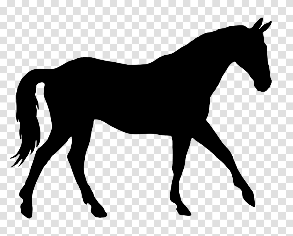 Horse Silhouette, Mammal, Animal, Colt Horse, Foal Transparent Png