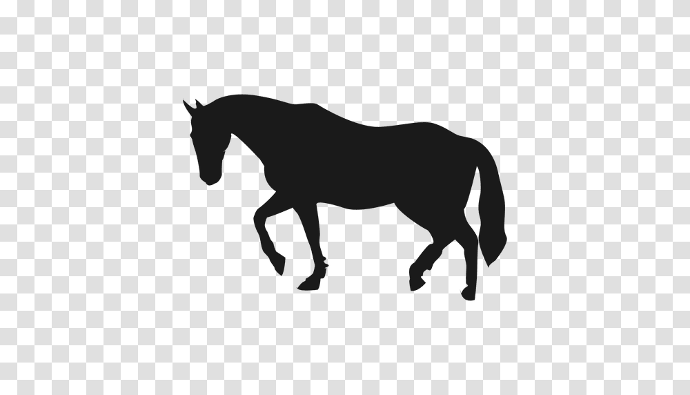 Horse Silhouette, Mammal, Animal, Colt Horse, Foal Transparent Png