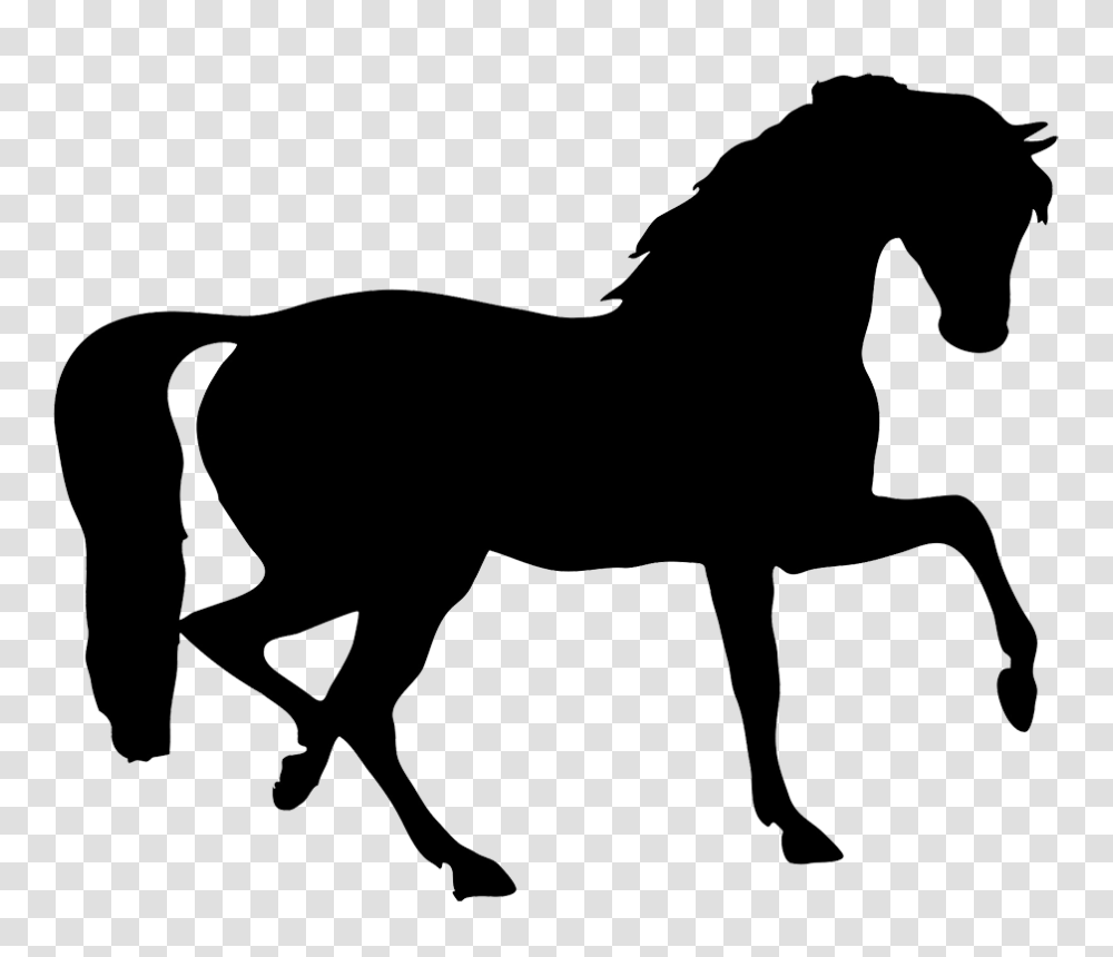 Horse Silhouette, Mammal, Animal, Colt Horse, Stencil Transparent Png