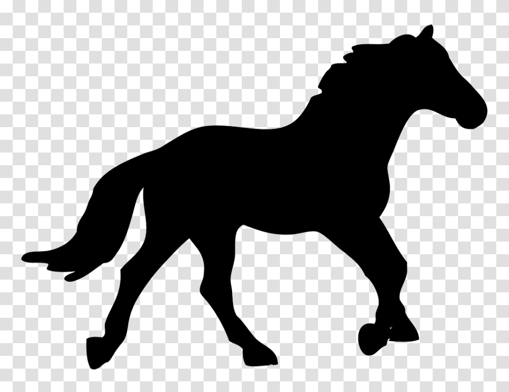 Horse Silhouette, Mammal, Animal, Foal, Colt Horse Transparent Png