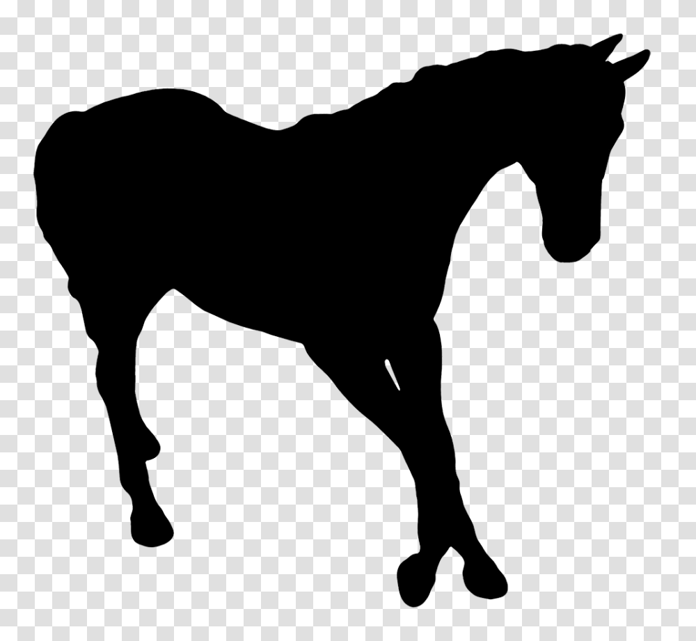 Horse Silhouette, Mammal, Animal, Stencil, Colt Horse Transparent Png