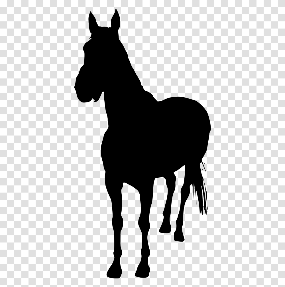 Horse Silhouette, Mammal, Animal Transparent Png