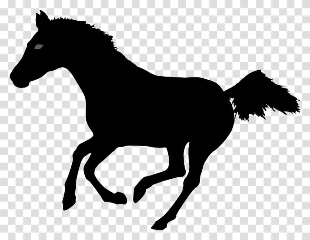 Horse Silhouette Photography Illustration Animated Silhouette Running Horse, Mammal, Animal, Antelope, Wildlife Transparent Png