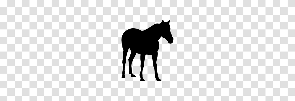 Horse Silhouette Silhouette Of Horse, Gray, World Of Warcraft Transparent Png