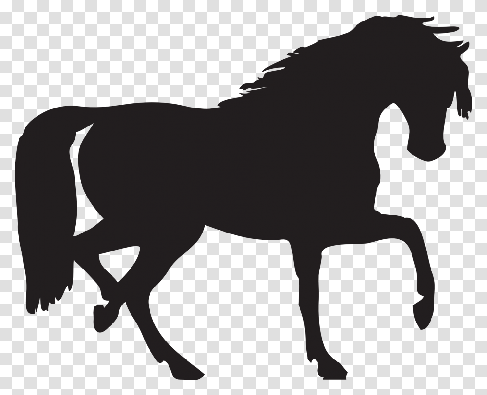 Horse Silhouette, Stencil, Mammal, Animal, Colt Horse Transparent Png