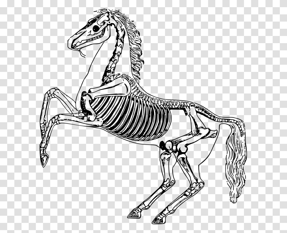 Horse Skeleton Horse Skeleton, Gray, World Of Warcraft Transparent Png