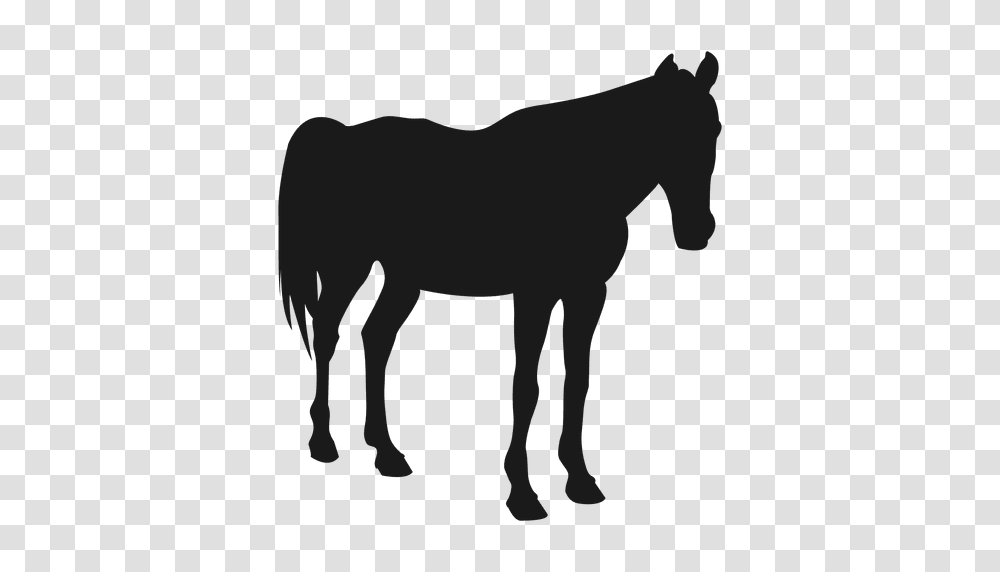 Horse Sleeping Silhouette, Mammal, Animal, Foal, Colt Horse Transparent Png
