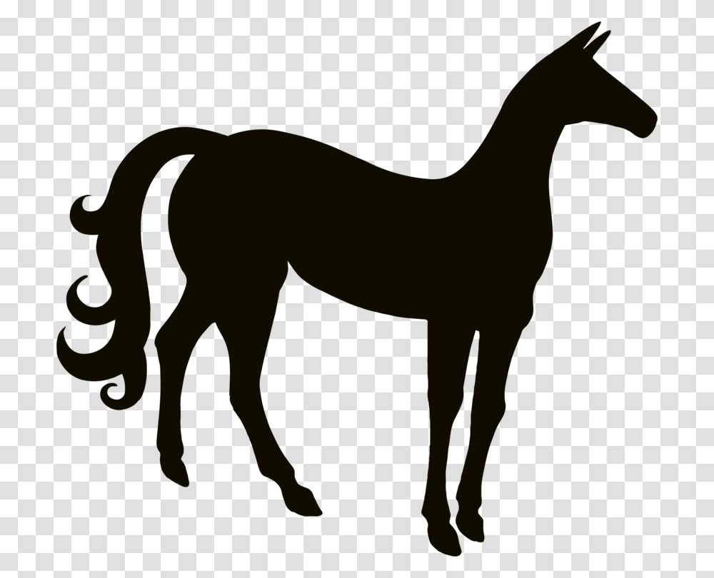 Horse Stallion Rearing Equestrian Silhouette, Mammal, Animal, Foal, Wolf Transparent Png