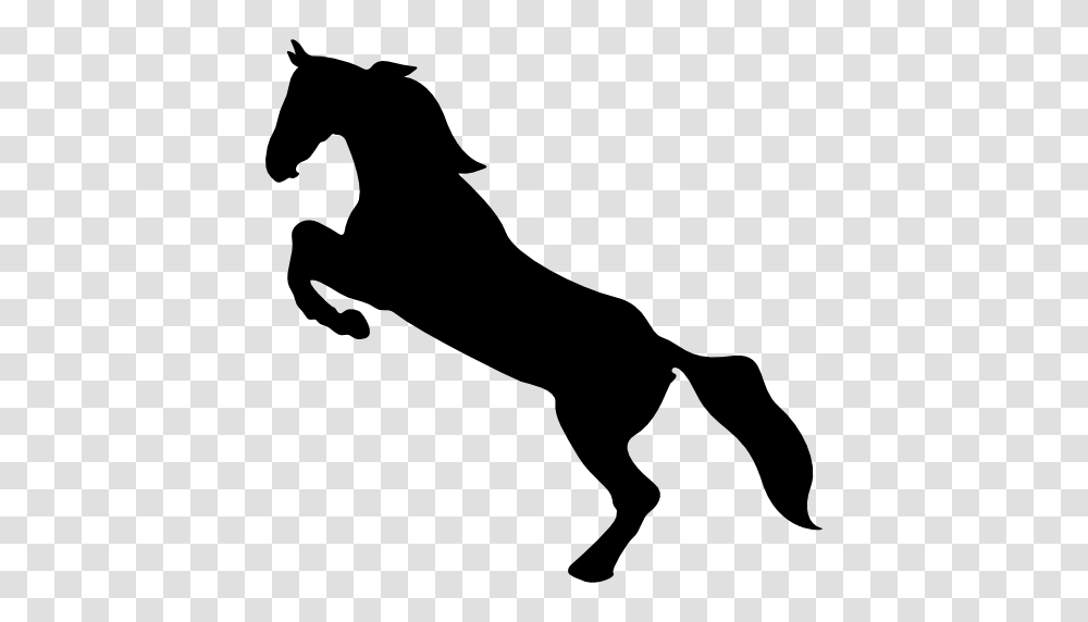 Horse Standing On Back Paws, Silhouette, Stencil, Person, Human Transparent Png