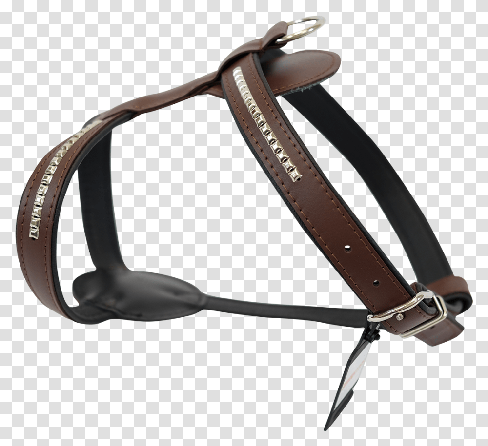 Horse Tack Horse Harness, Bow, Strap, Accessories, Accessory Transparent Png