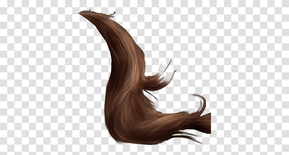 Horse Tail 2 By Peachesrox Stock Horse Tail, Animal, Mammal, Hair, Hound Transparent Png