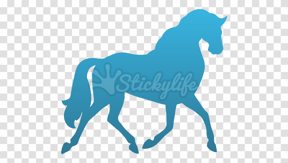 Horse Temporary Tattoo Cart Before The Horse Gif, Mammal, Animal, Person, Human Transparent Png