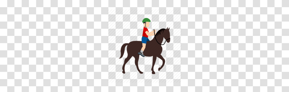 Horse Trainer Clipart, Person, Mammal, Animal, Leisure Activities Transparent Png