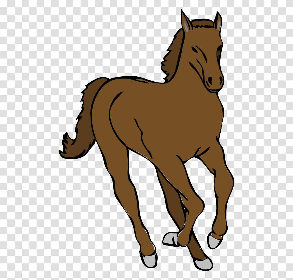 Horse Vector, Colt Horse, Mammal, Animal, Foal Transparent Png