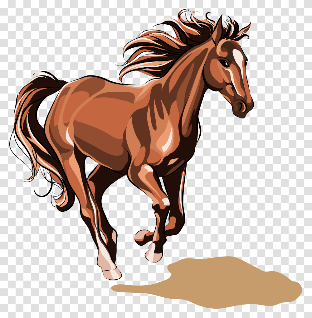 Horse Vector Illustration, Mammal, Animal, Colt Horse, Foal Transparent Png
