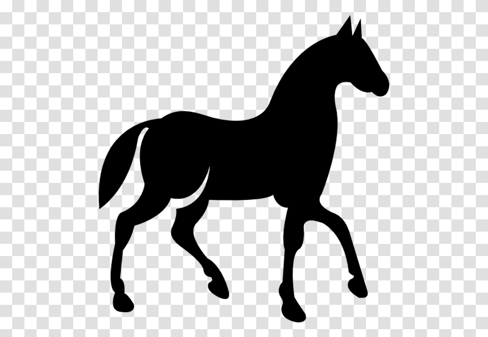 Horse Walking Icon, Gray, World Of Warcraft Transparent Png