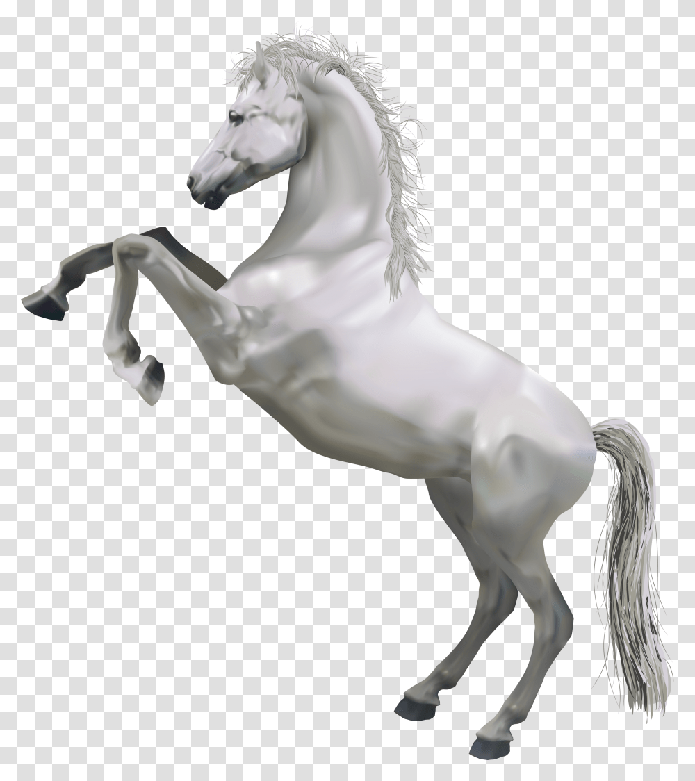 Horse White Clip Art White Horse, Andalusian Horse, Mammal, Animal, Stallion Transparent Png