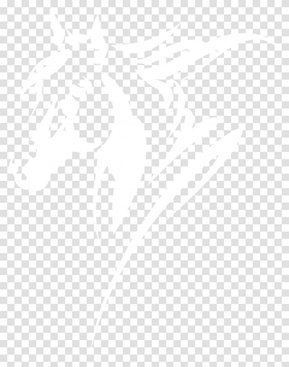 Horse, White, Texture, White Board Transparent Png