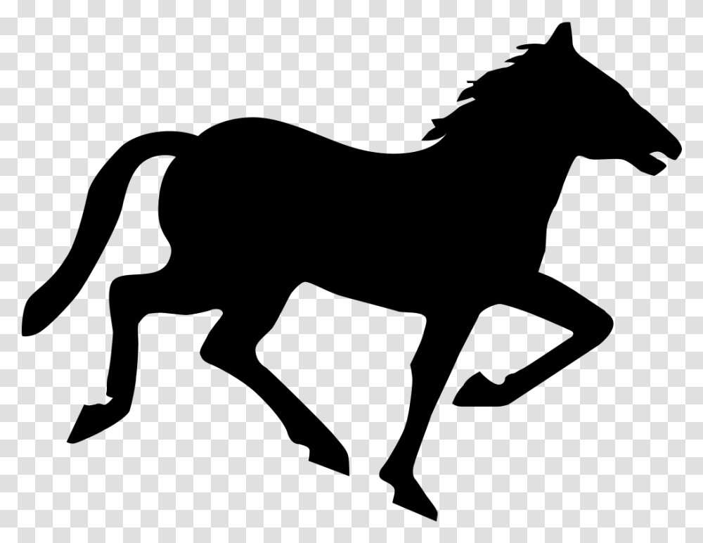 Horse Wild Horses Or Ponies, Gray, World Of Warcraft Transparent Png