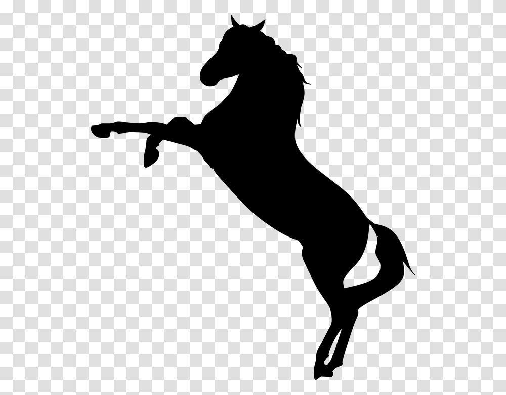 Horse Wild Mustang Rearing Racer Silhouette Mustang Horse Silhouette, Gray, World Of Warcraft Transparent Png