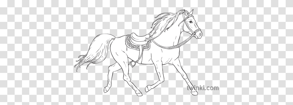 Horse With Golden Mane The Firebird Russian Traditional Line Art, Mammal, Animal, Andalusian Horse, Stallion Transparent Png