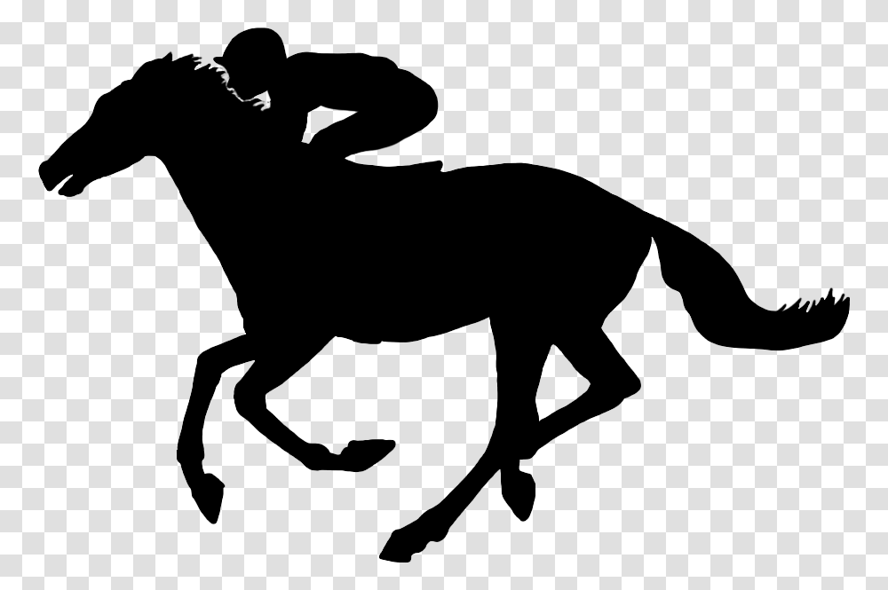 Horse With Jockey In Galop Silhouette Horse And Jockey, Bow, Mammal, Animal, Wildlife Transparent Png