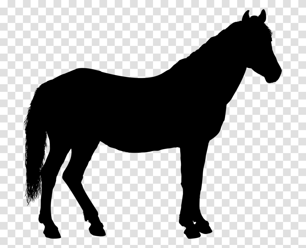 Horseamprider Equestrian Silhouette Pony, Gray, World Of Warcraft Transparent Png