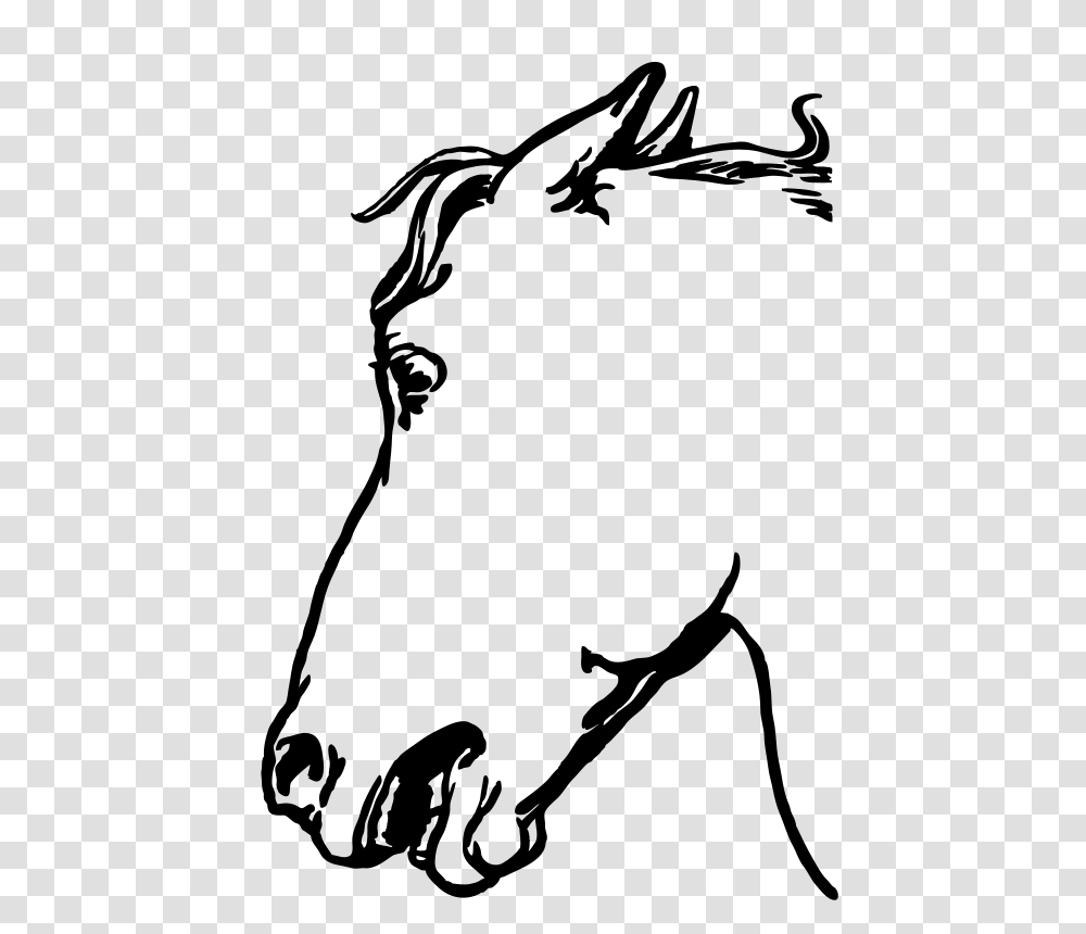 Horsehead, Animals, Gray, World Of Warcraft Transparent Png