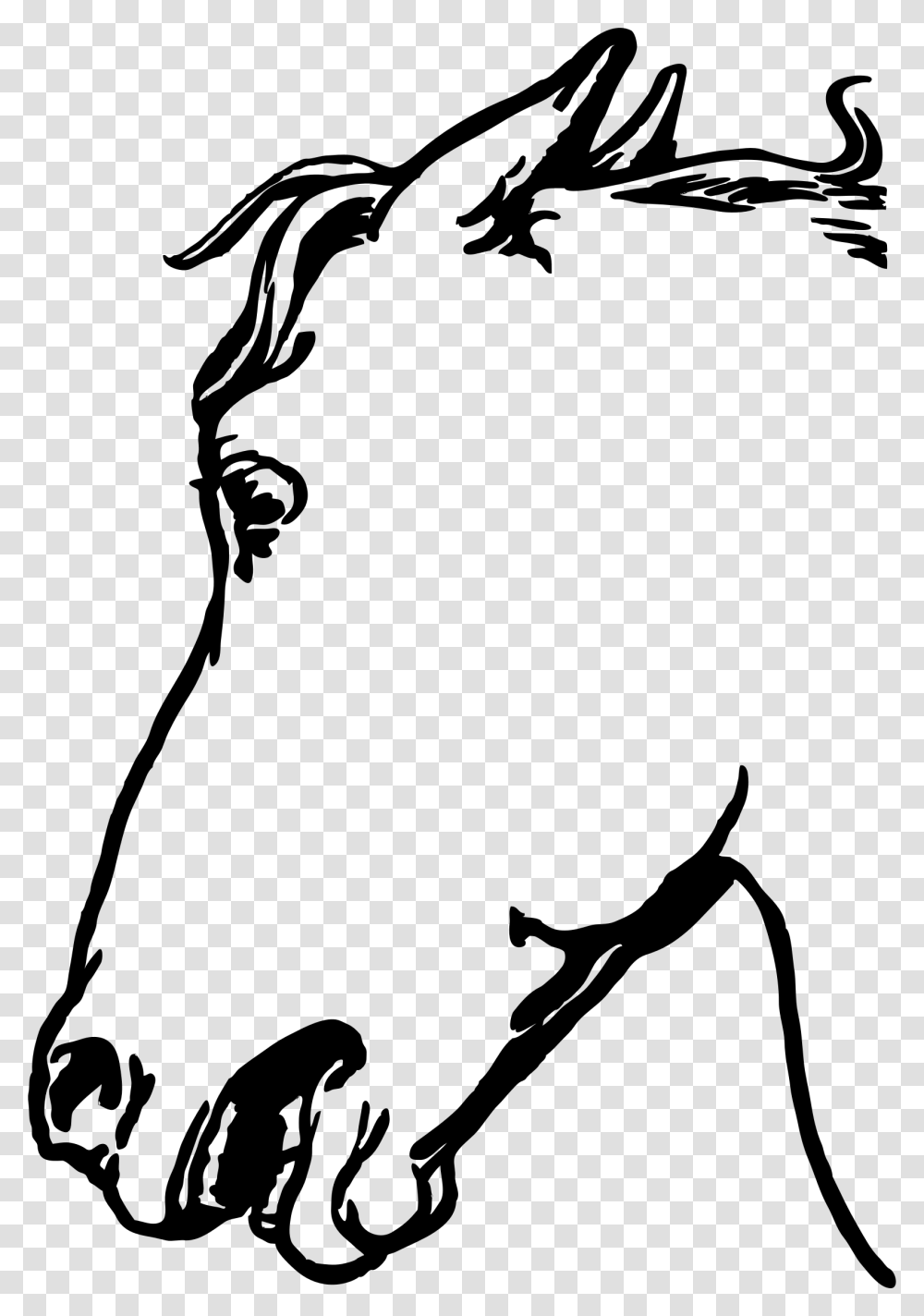 Horsehead Clip Arts Gambar Sketsa Kepala Kuda, Gray, World Of Warcraft Transparent Png
