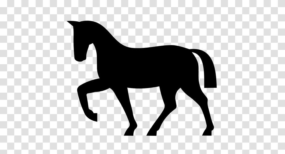 Horseicon, Gray, World Of Warcraft Transparent Png