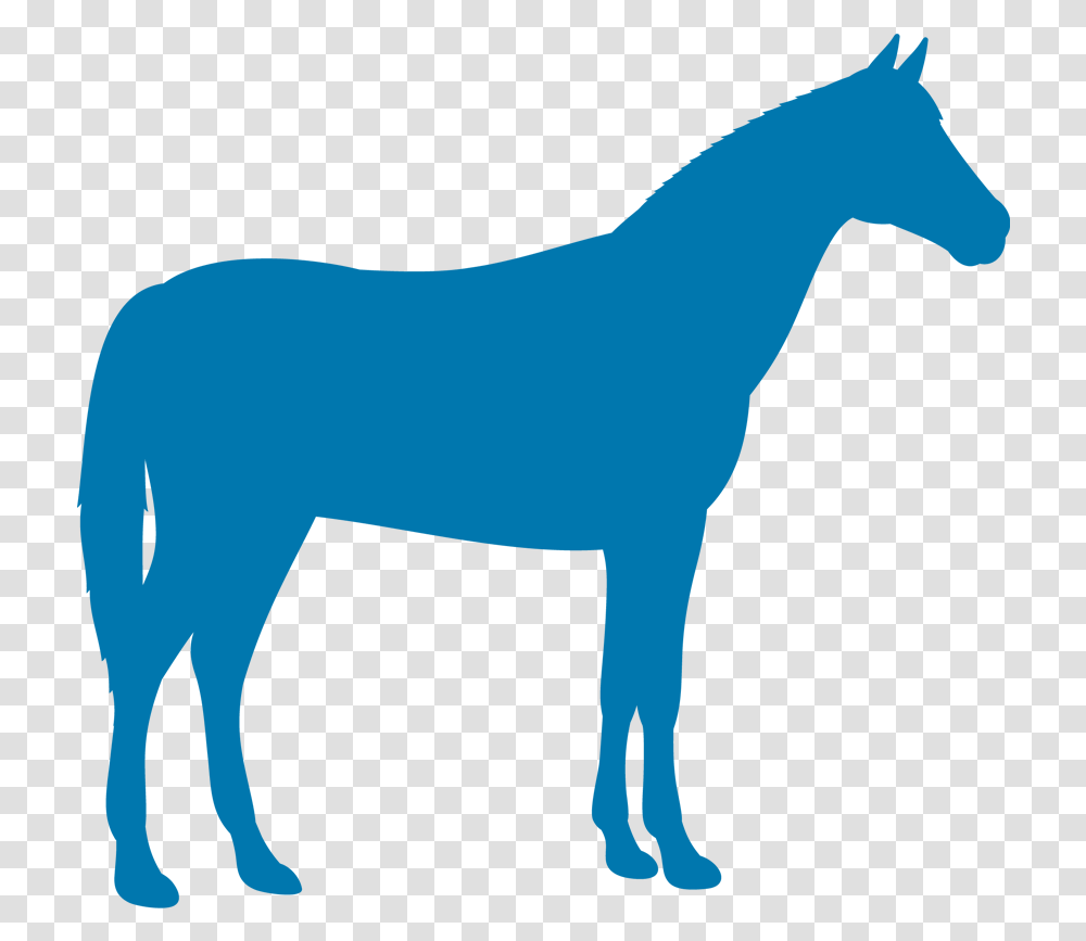 Horseicon Kindredbio Equine Farm Animal Silouette, Mammal, Foal, Colt Horse Transparent Png