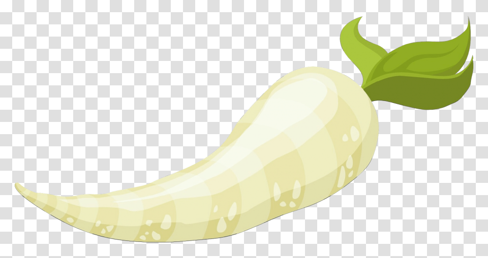 Horseradish, Vegetable, Plant, Food, Banana Transparent Png