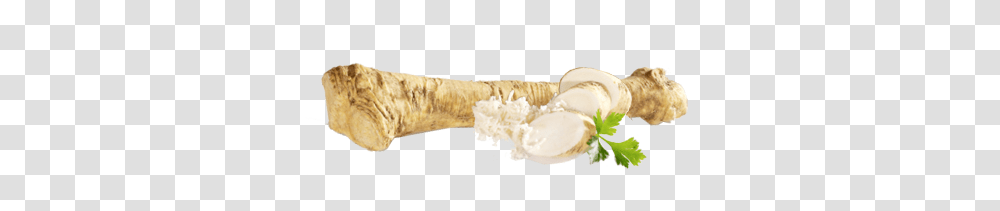 Horseradish, Vegetable, Plant, Produce, Food Transparent Png